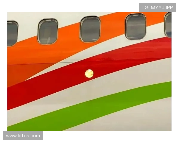 飞机外部灯光系统防雷击保护